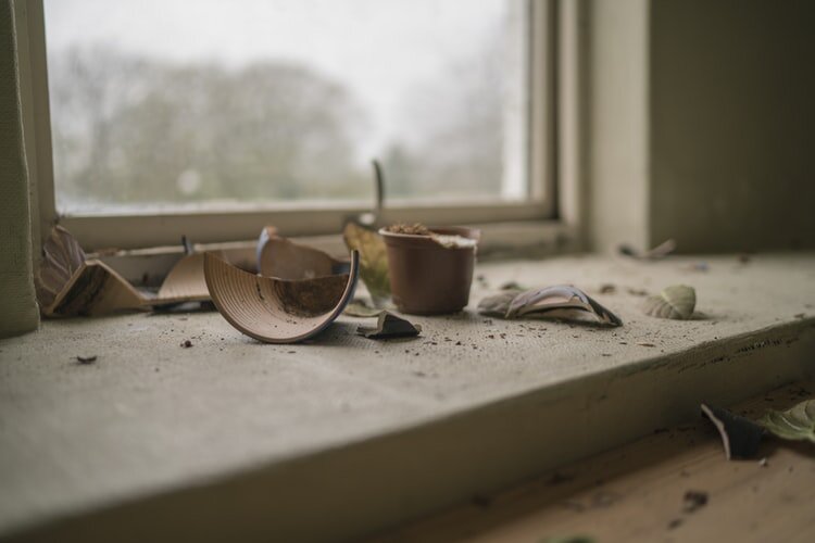 Источник  unsplash.com