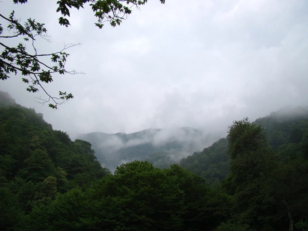 Бальнеологический курорт Нуниси