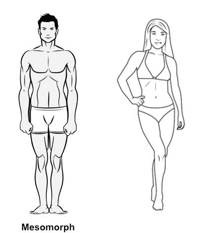 Легкое телосложение. Эндоморф мезоморф женщины. Смешанный Тип телосложения эктоморф-мезоморф у женщин. Мезоморф девушка. Мезоморф Тип телосложения у женщин.