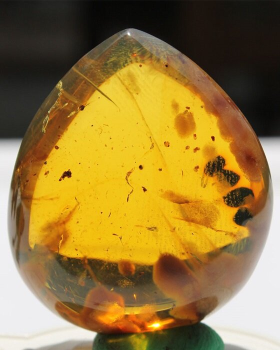 Источник: https://www.realrareantiques.com/wp-content/uploads/2012/11/Rare-Amber-Gemstone-UN4.jpg