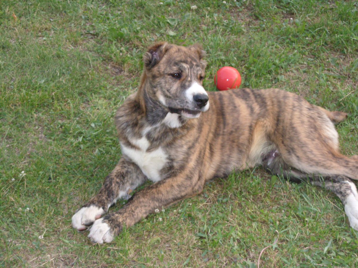 Здесь и далее - фото автора