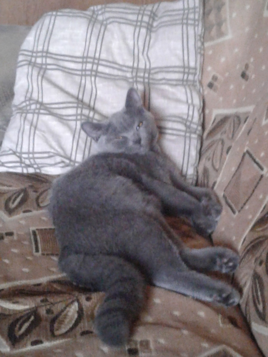 Васятка изволит почивать.