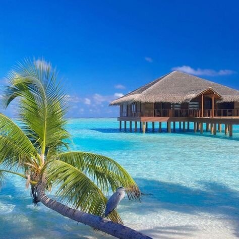 Мальдивы, индийский океан, пляж