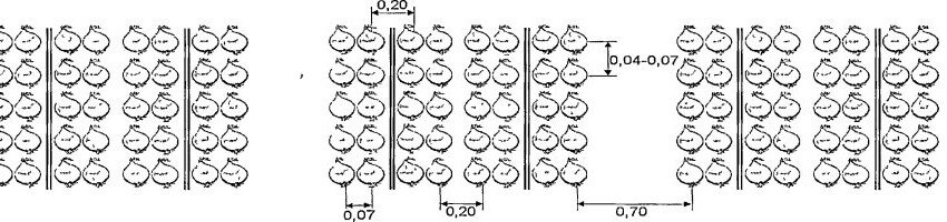 Схема посадки лука репки