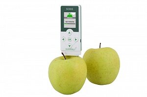 Можно и провести эксперимент, взять любое яблоко, выращенное вами в саду и купленное в магазине, и проверить количество нитратов в первом и во втором случае. Именно для этого и существуют нитрат тестеры и дозиметры. Результат превзойдет все ваши ожидания, а ведь нитраты – это одни из самых злостных и беспощадных врагов здоровья и жизни.