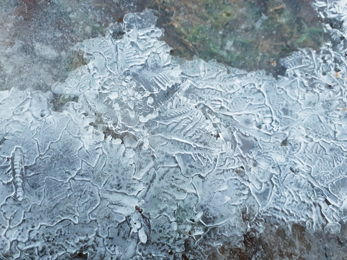 Наши замерзшие лужи!