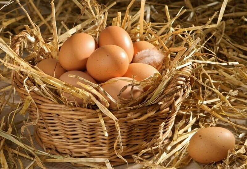 снятия негатива яйцом