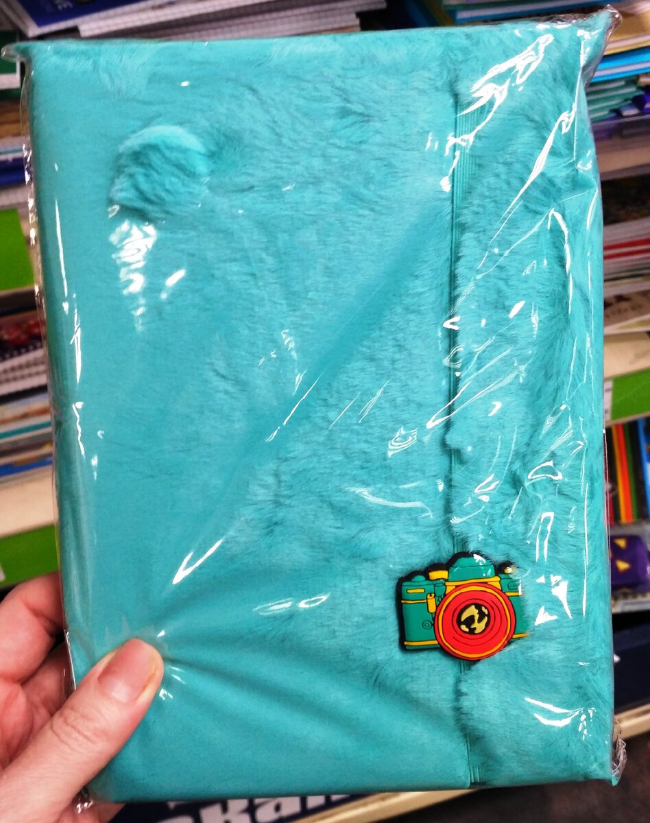 Фото автора. Блокнот голубой с фотоаппаратом.
