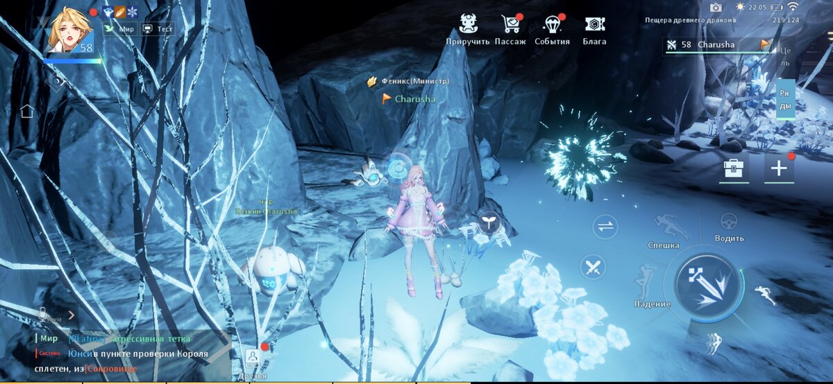 Скриншот из игры Dragon raja