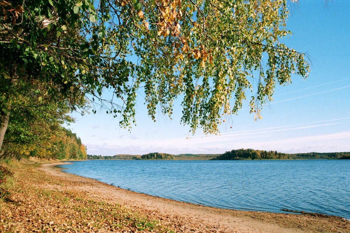 смоленская область озеро сапшо
