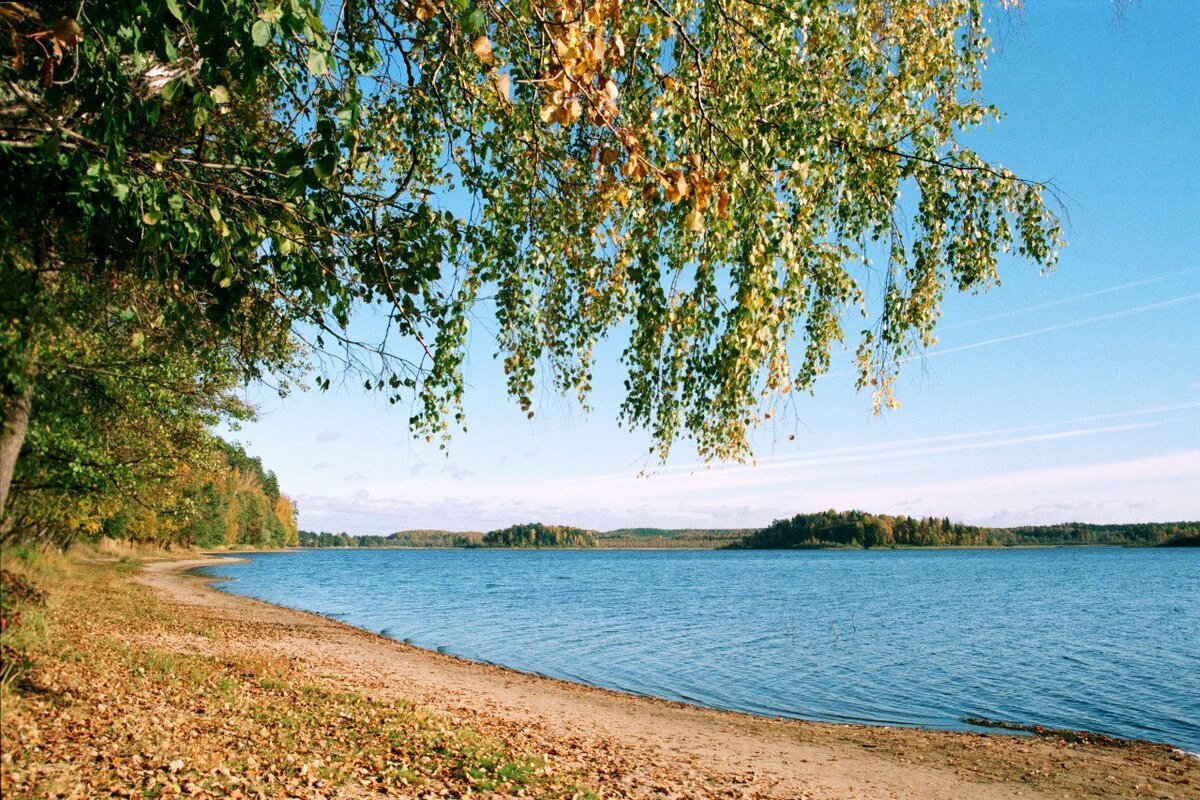 Фото пляжей смоленска