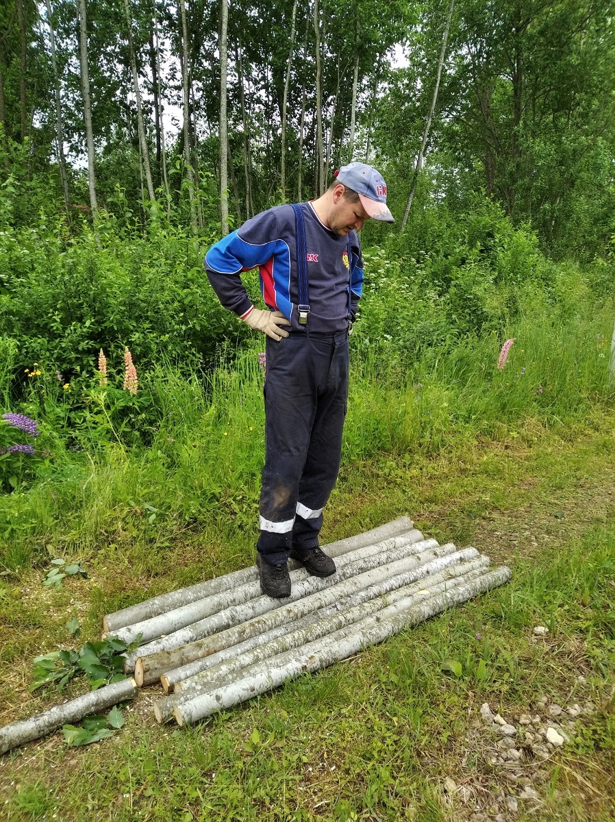 Начало проекта. В основе три осины.