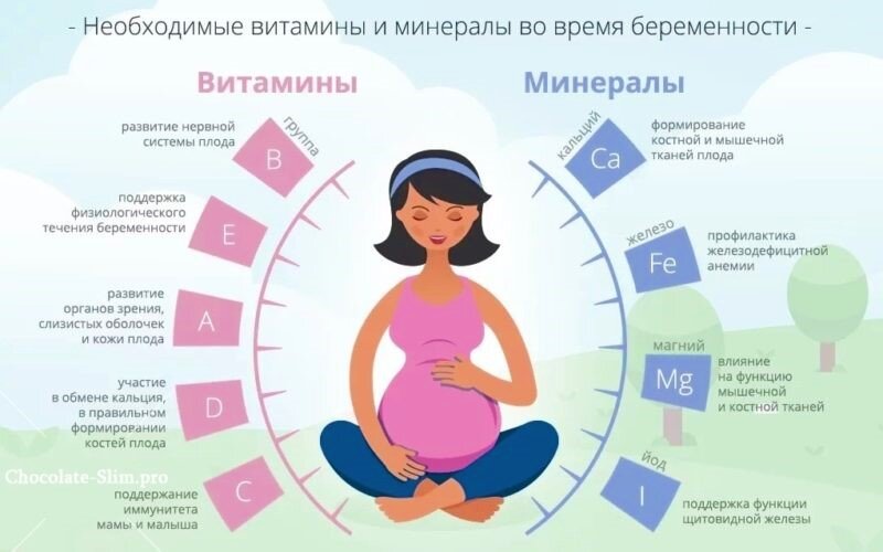 Я бы добавила сюда информацию о Омега 3, необходимый элемент для развития мозга ребенка