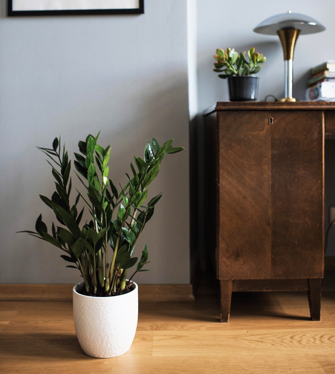 Источник фото - https://www.pexels.com/ru-ru/