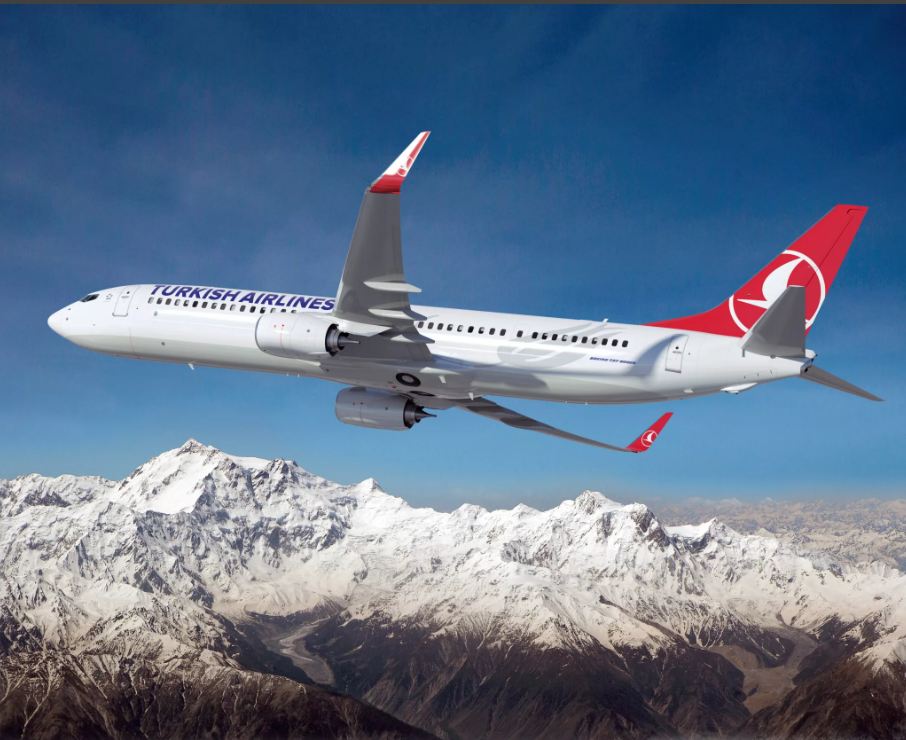 Turkish Airlines - флагманская турецкая авиакомпания.