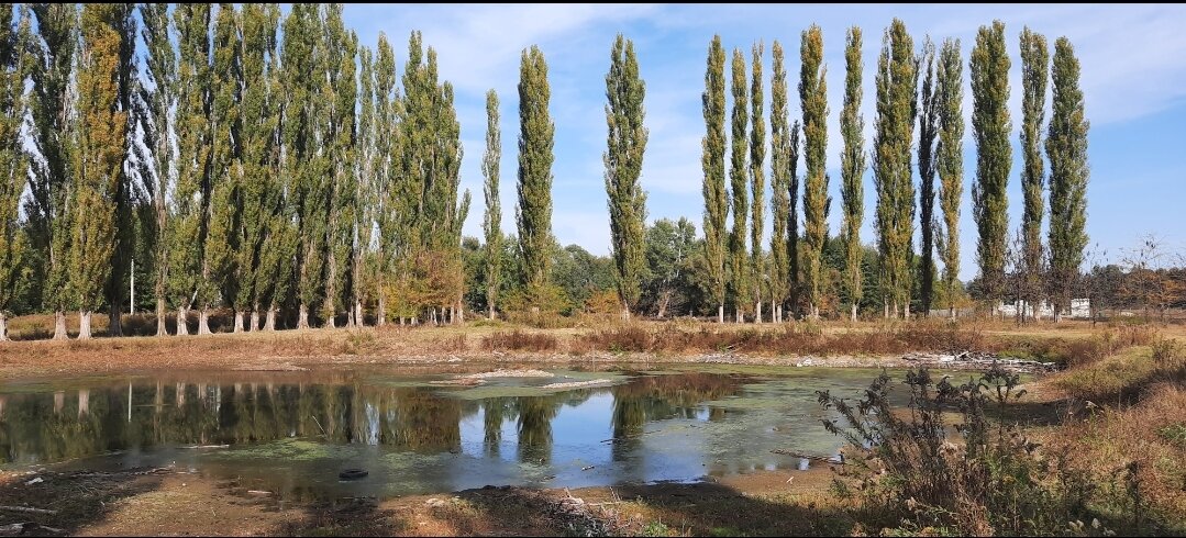Озеро высохло от сильной засухи в этом году