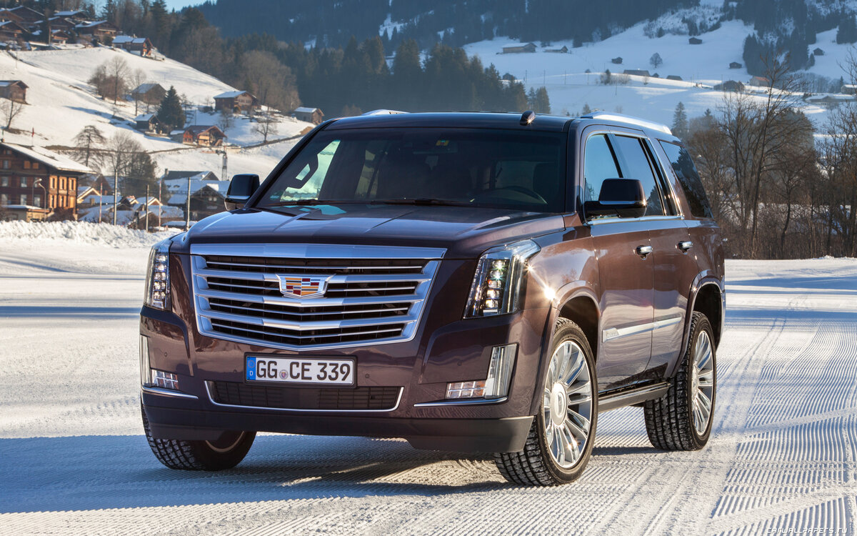 Яндекс картинки