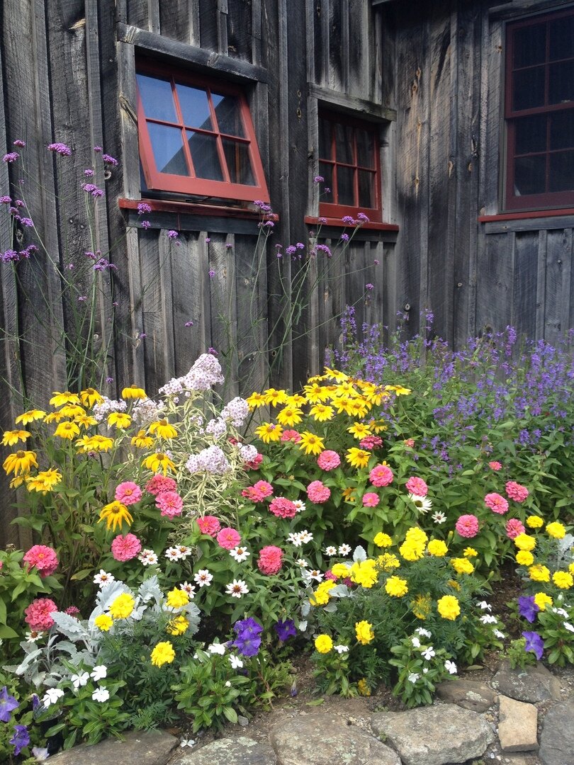 Фото получено из открытого источника