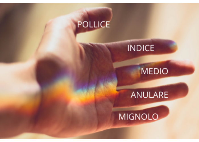 Название пальцев рук