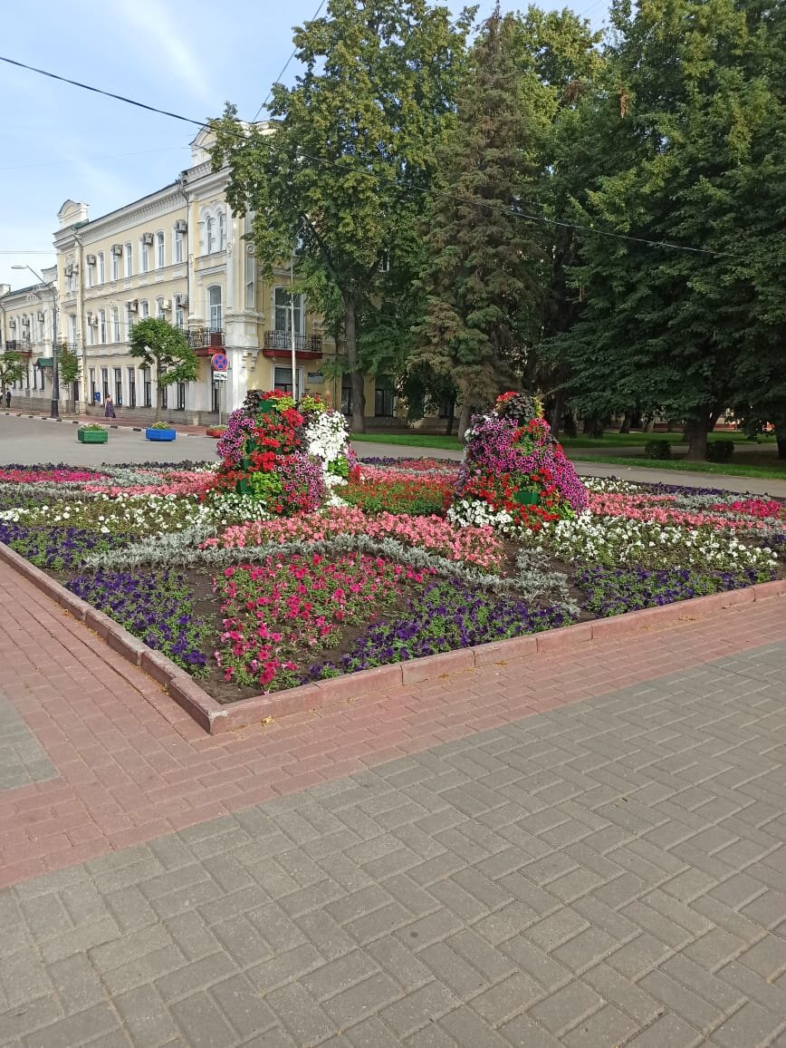 Цветов в Тамбове очень и очень много.