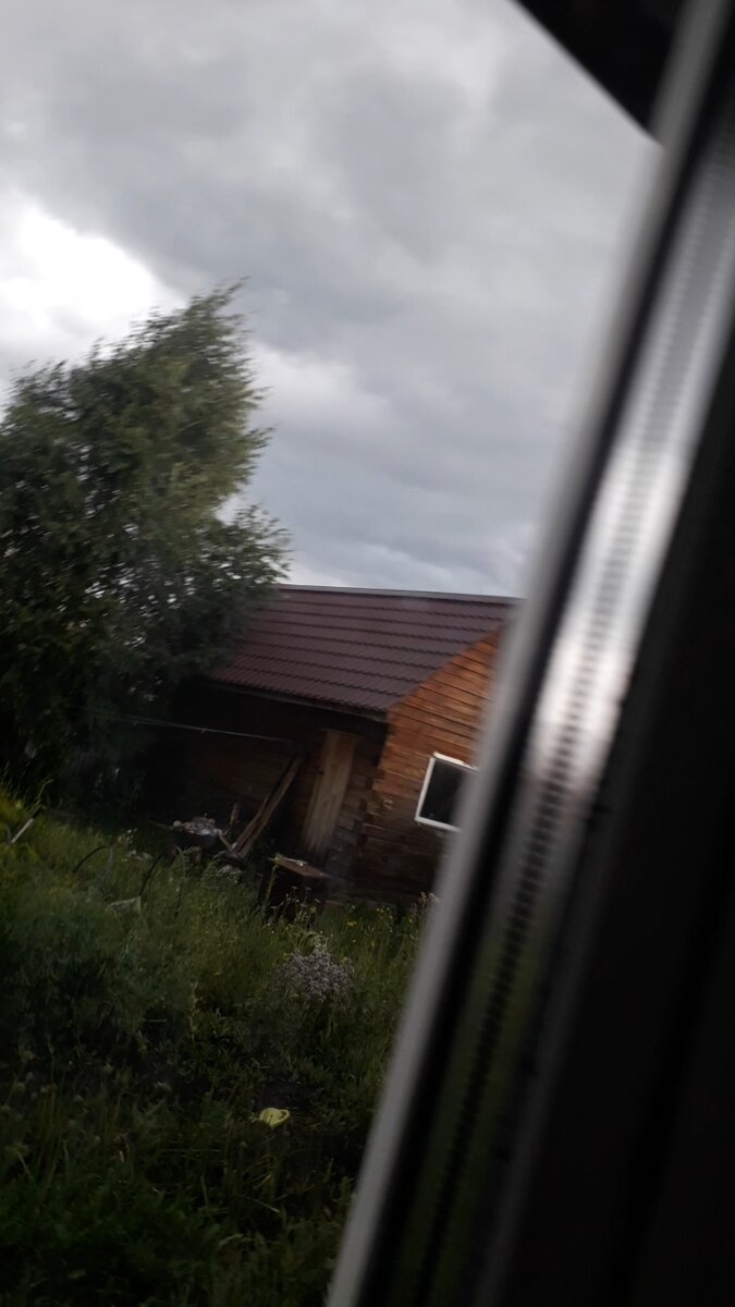 Тучи и ветер, а потом такой ливень пошёл!