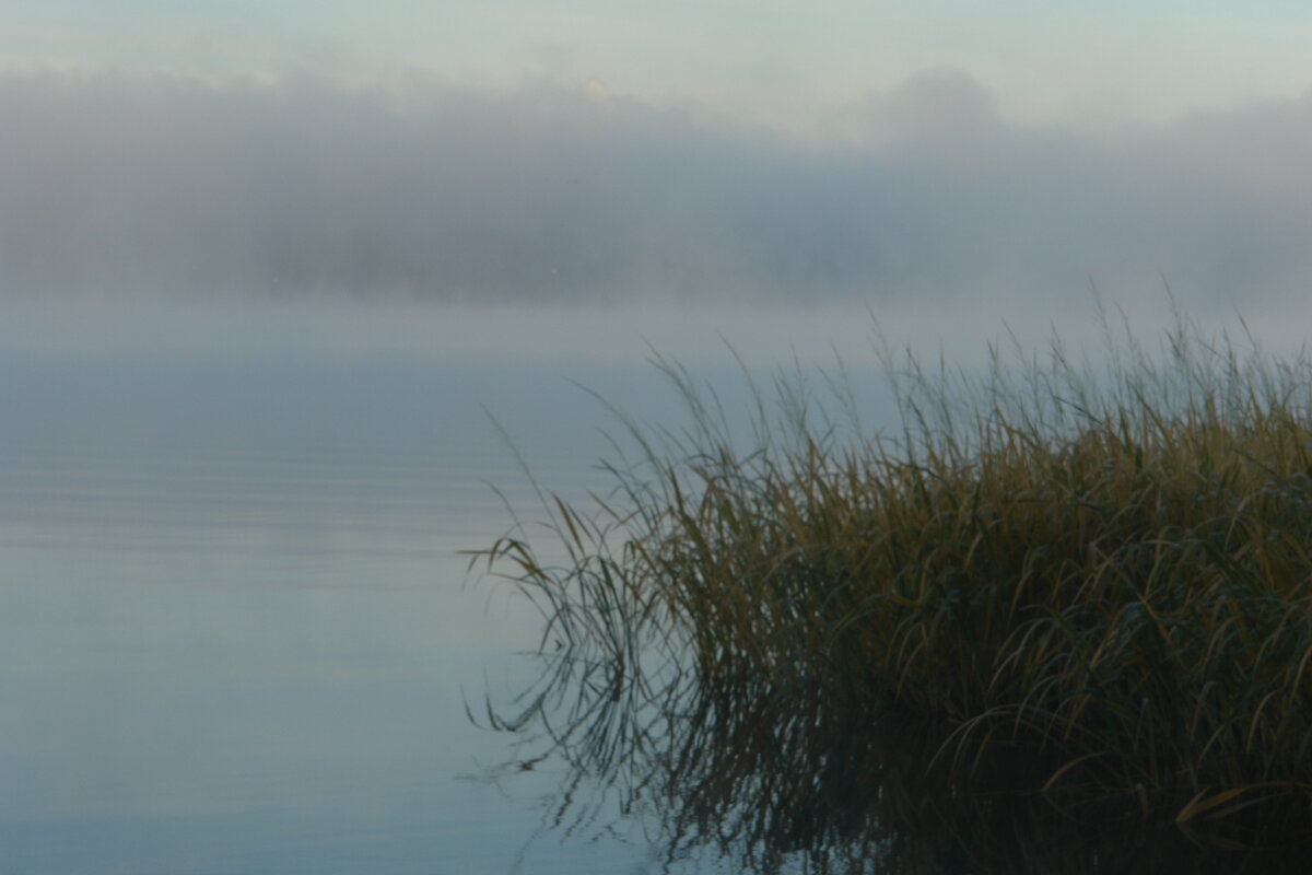 Осеннее утро на озере это как будто другая планета.