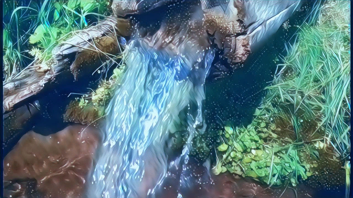Новое видео вода
