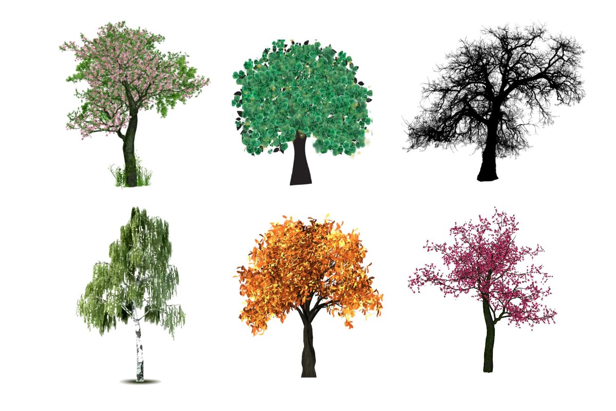 Тест на карму: проверьте, насколько чиста ваша душа