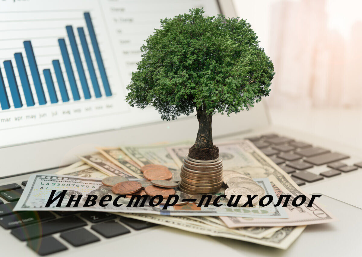 моё маленькое инвестиционное дерево