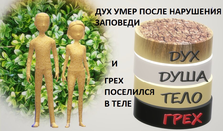Составляющие человека после грехопадения/с рождения