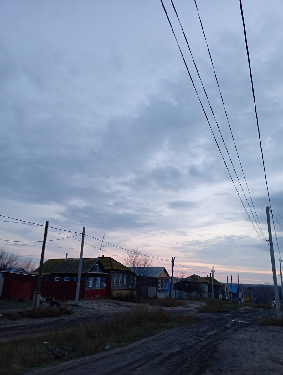 Зимний вечер, зимнее небо и зимний мангольд | Мой дом с огородом и  кулинария | Дзен