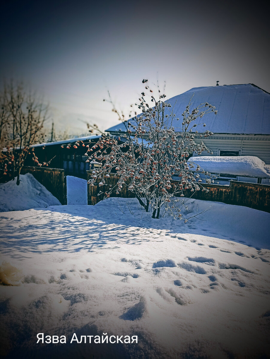 Деревня. Пусть и зовётся мой Змеиногорск городом, а всё равно большая деревня. 