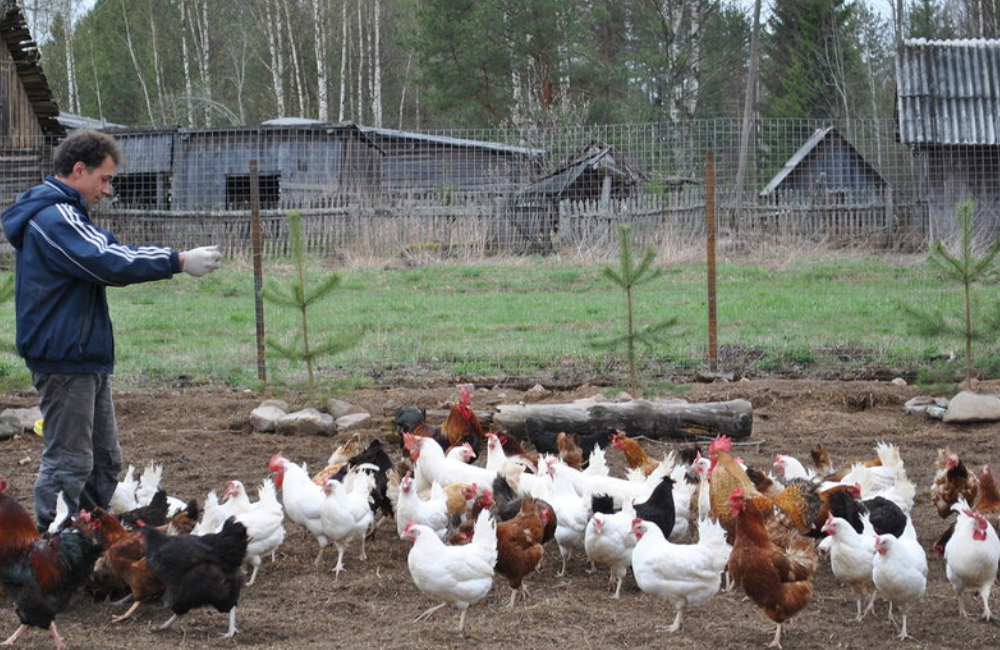 Из архива автора.