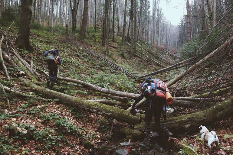 Поход в лесу