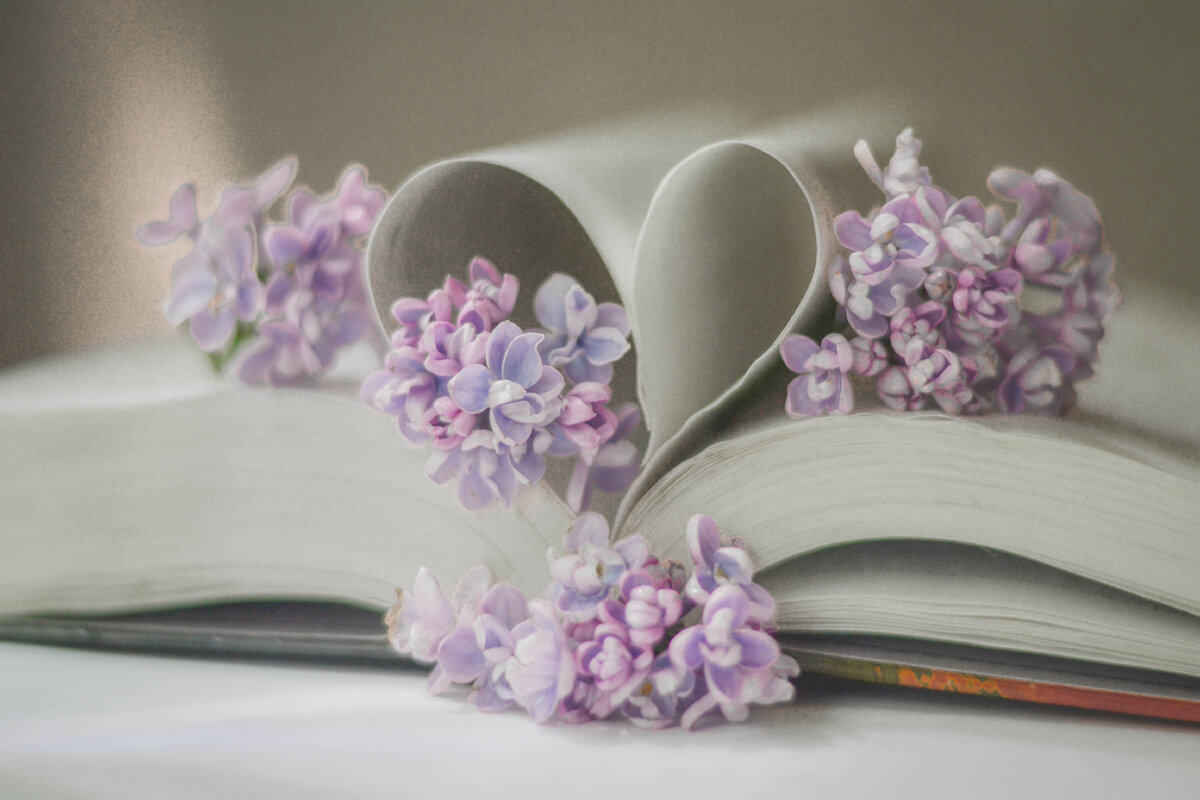 Наснимала сиреневой красоты и все некогда было вам показать