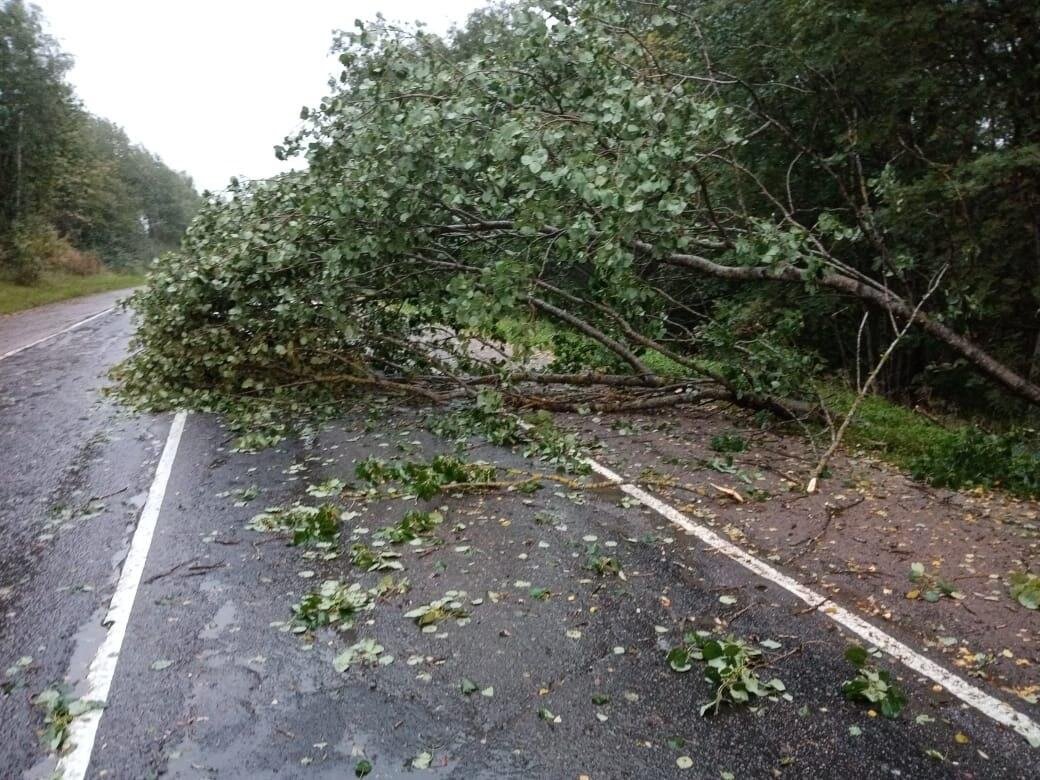 Фотография из интернета. К сожалению, сама вчера не догадалась сфотографировать. Но выглядело все примерно так же