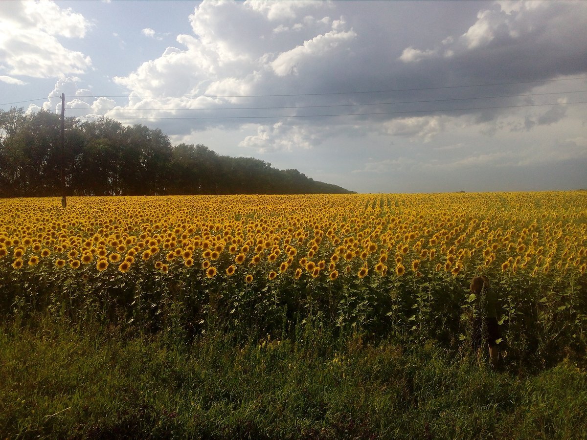 Август - последний летний месяц. Наслаждайтесь