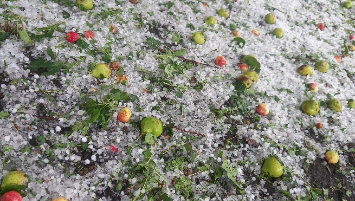 Фото, видео: Анжелика Гайдукова, Анастасия Троеглазова, Евгений Медведев, Денис Чиченко, «Инцидент Барнаул», «В курсе 22», Barnaul22.