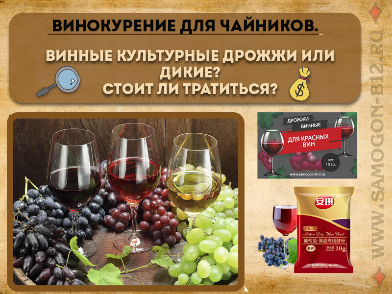 Винные культурные дрожжи или дикие? Стоит ли тратиться и почему? Коллаж автора ©