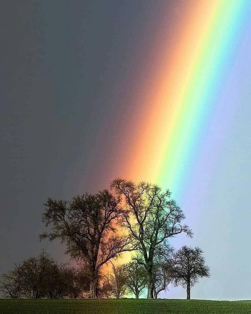 "...серость красок при депрессии имеет под собой физиологическую основу..."