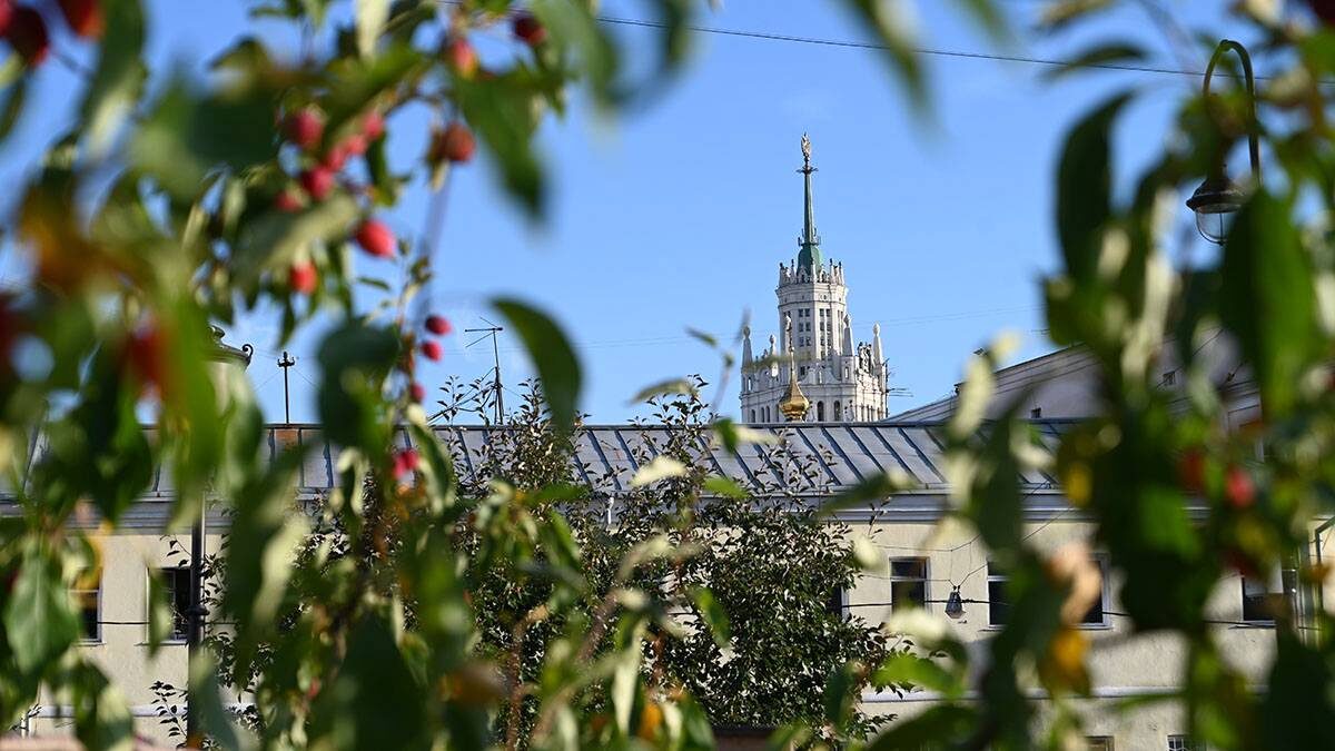    Фото: Алексей Орлов / Вечерняя Москва