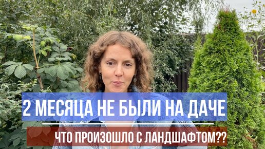 Мы вернулись после 2-месячного отсутствия на даче! А тут...