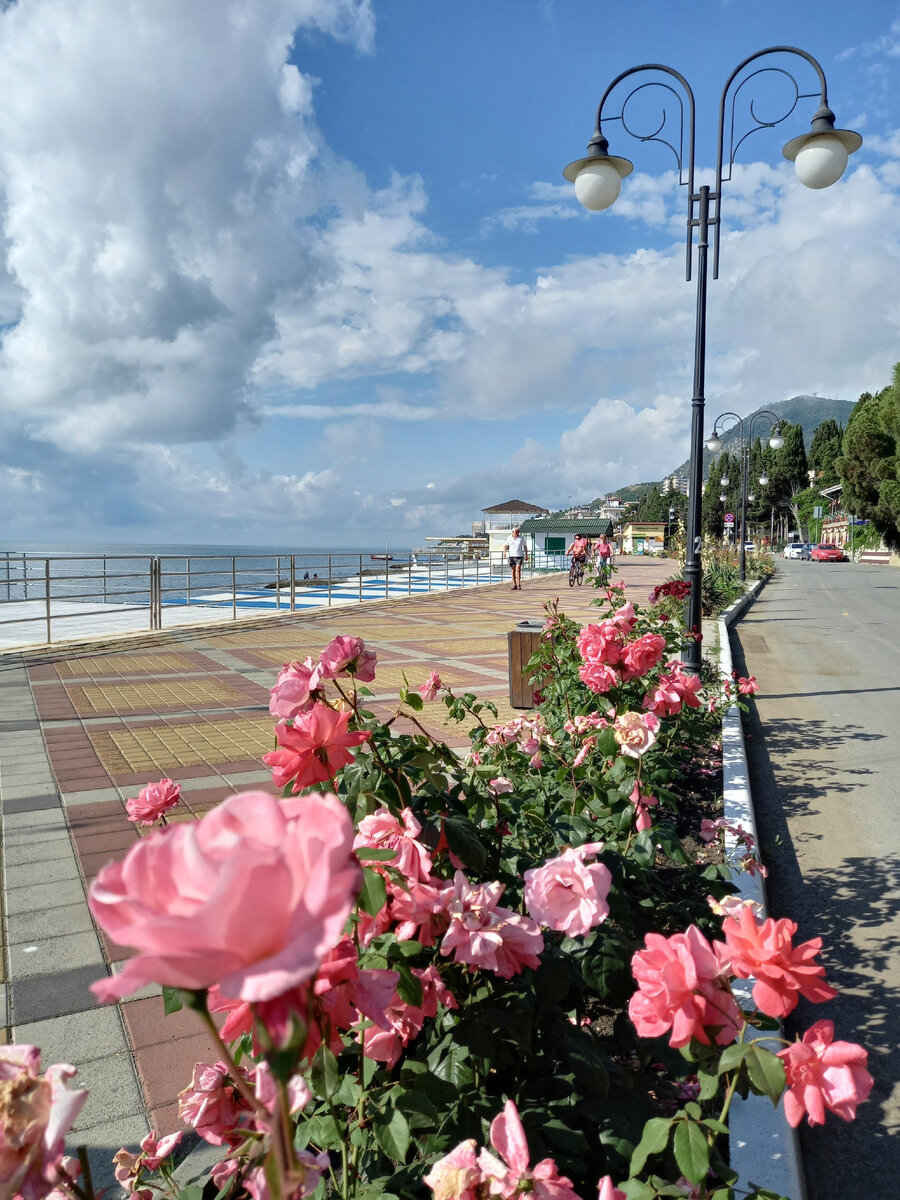 Алушта - подходящий город в Крыму для отдыха активным туристам. | АдиссеЯ |  Дзен