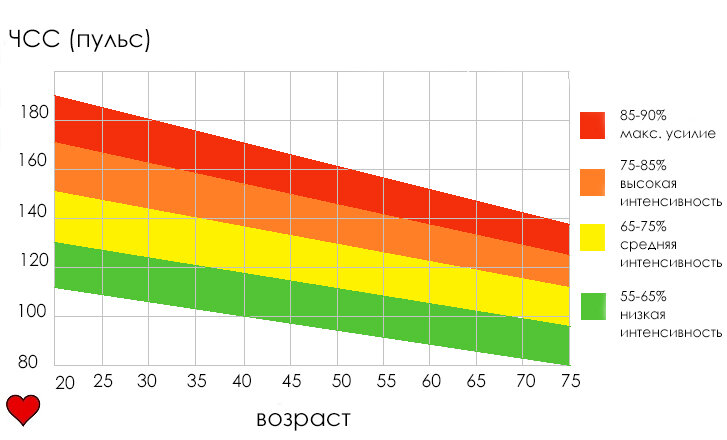 Узнать примерный свой максимальный пульс, можно с помощью формулы: 220 минус возраст.