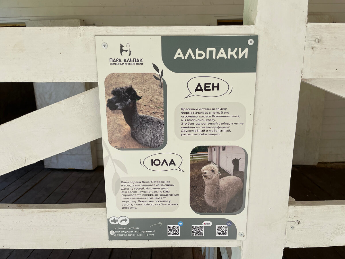 Ее парк тольятти
