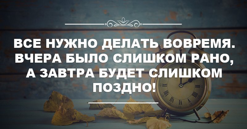 Все нужно делать вовремя. Все делать вовремя цитаты. Цитата делай дело вовремя. Делай все вовремя цитаты.