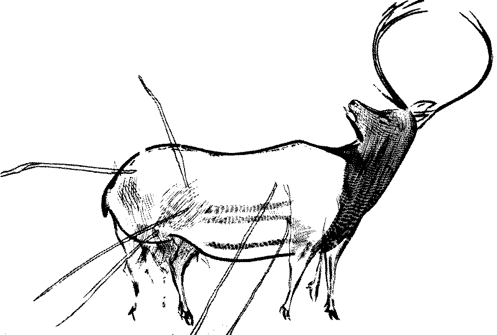 Пещера Кандамо