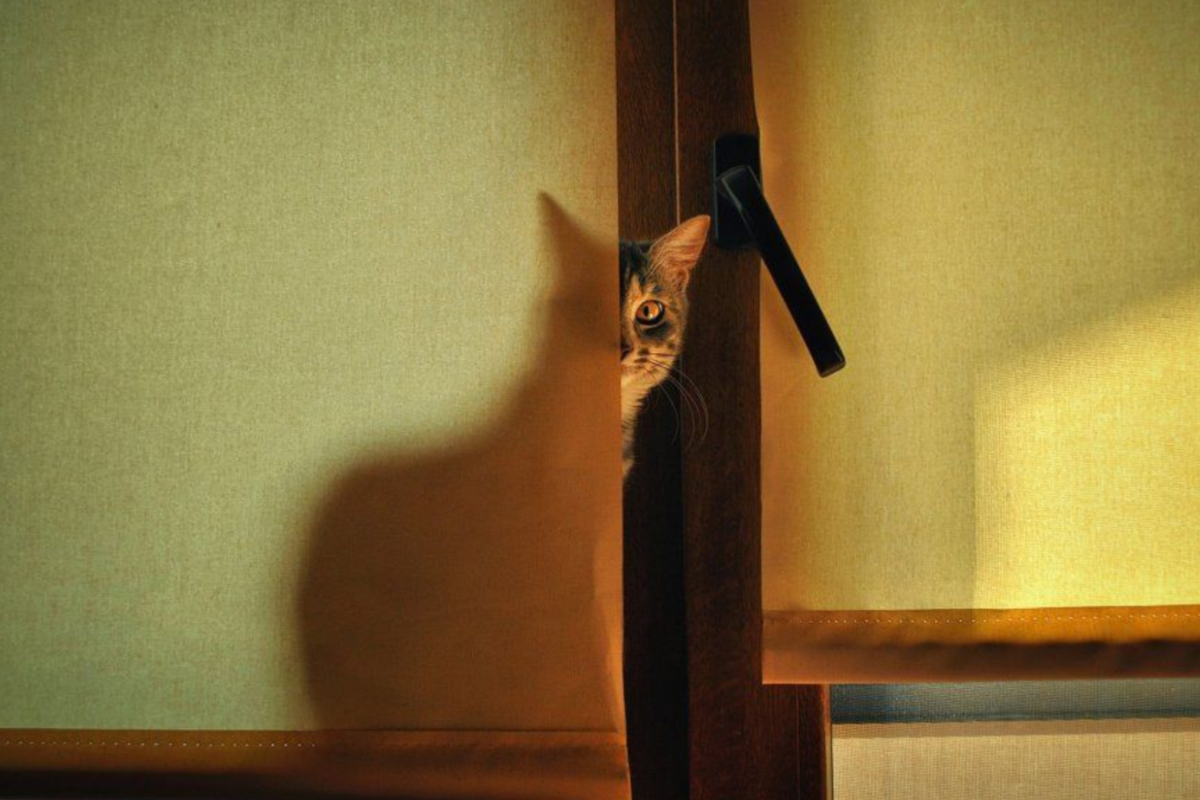 Шум в квартире. Фотография расставания. Расставь знаки препинания. Знаки препинания в предложениях. Боль от разлуки.