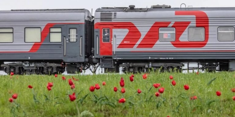 Фото: РИА «Новости» (https://cdnn21.img.ria.ru/images/07e6/04/08/1782461577_0:17:1280:737_1920x0_80_0_0_a1b6800866e896926a88ec9da0ad99c7.jpg.webp)