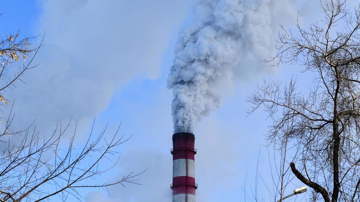    Фото: Sputnik/Александр Кряжев. Анатолий Пак